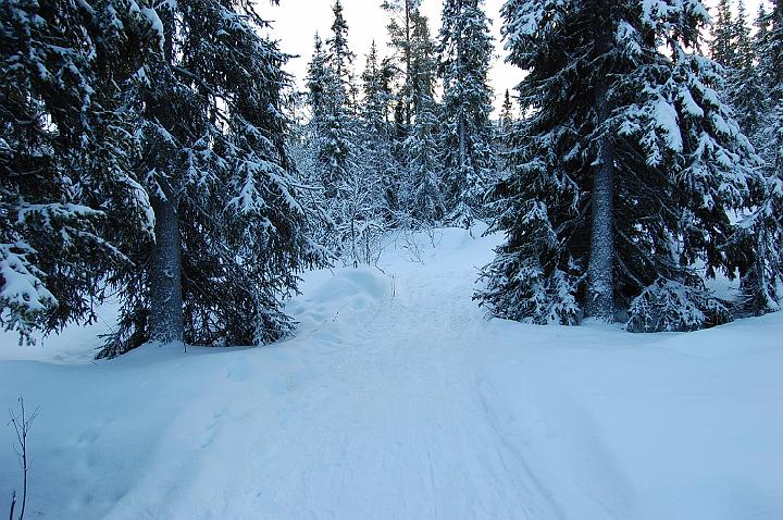 vemdalen 133.jpg - vgen till liften frn huset